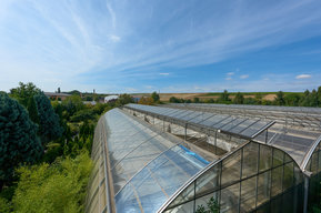 DAS GARTEN-HAUS Gewächshaus