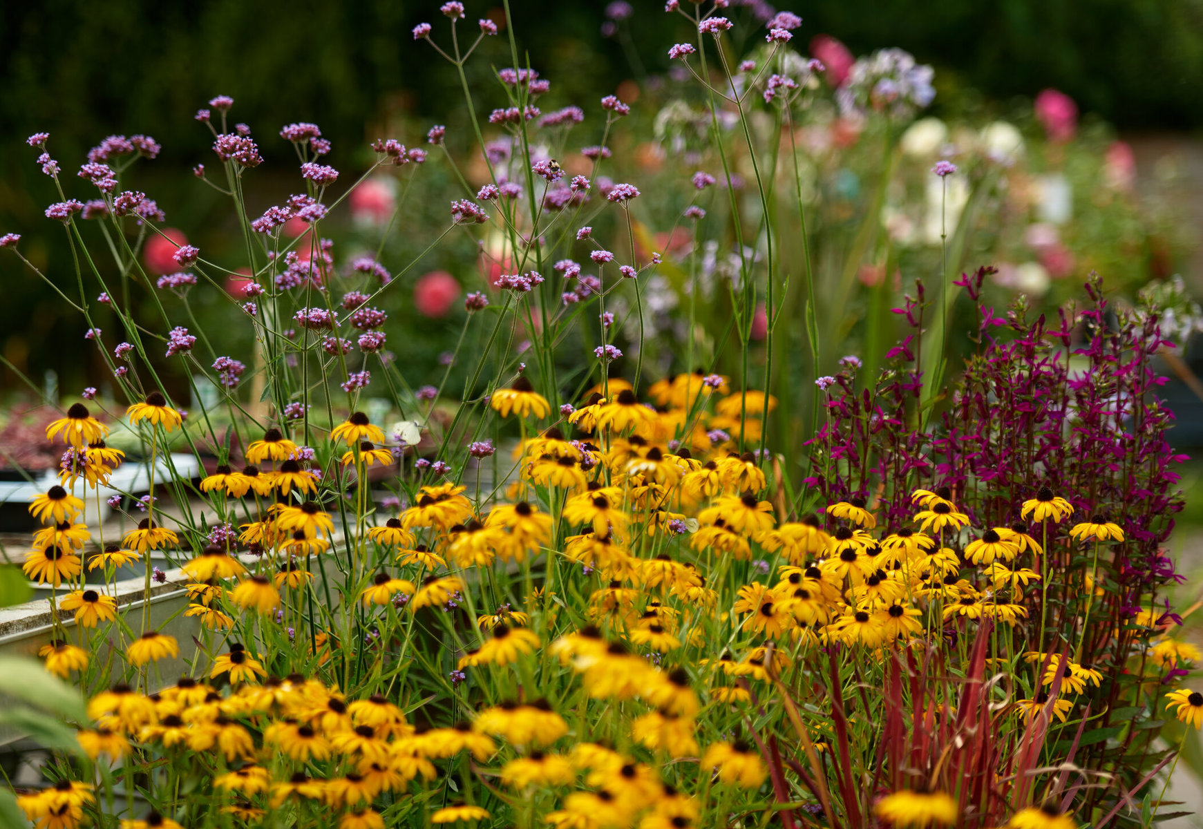 Blumenausstellung im GARTEN-HAUS