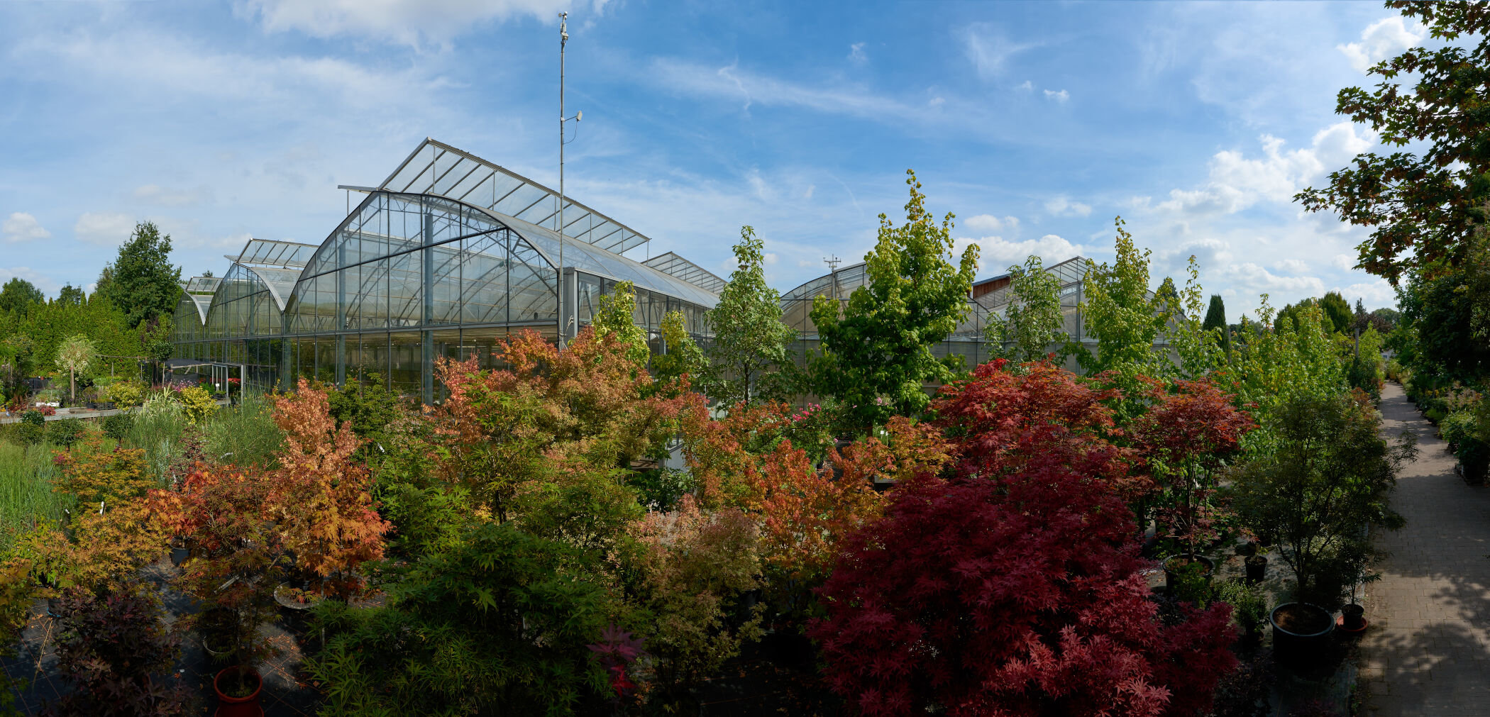 Bäume bei DAS GARTEN-HAUS