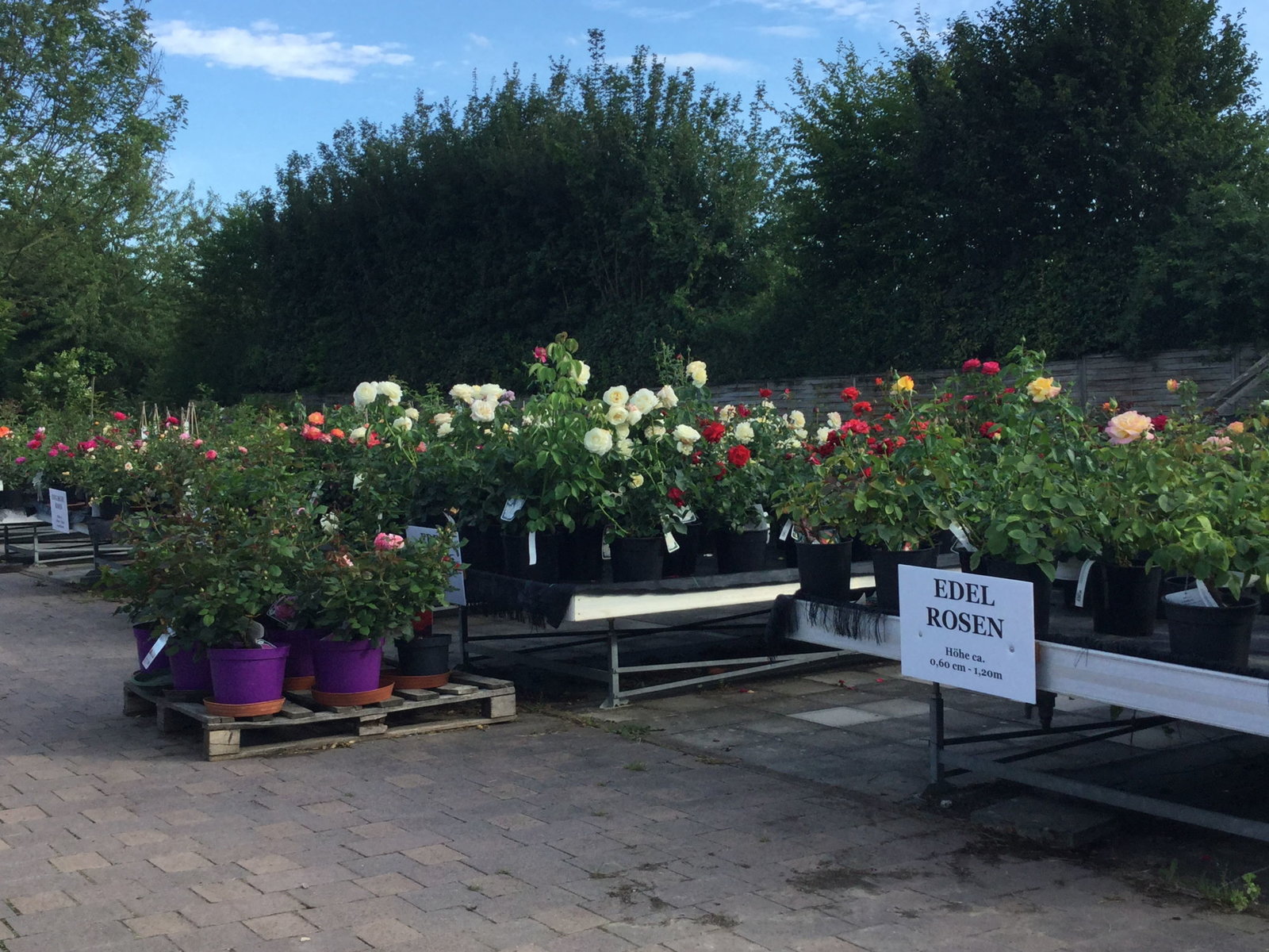 Blumenausstellung bei DAS GARTEN-HAUS